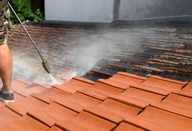 Best Residential Pressure Washing Services  in Frenchtown, NJ