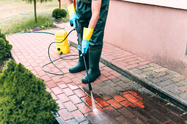 Best Roof Power Washing Services  in Frenchtown, NJ