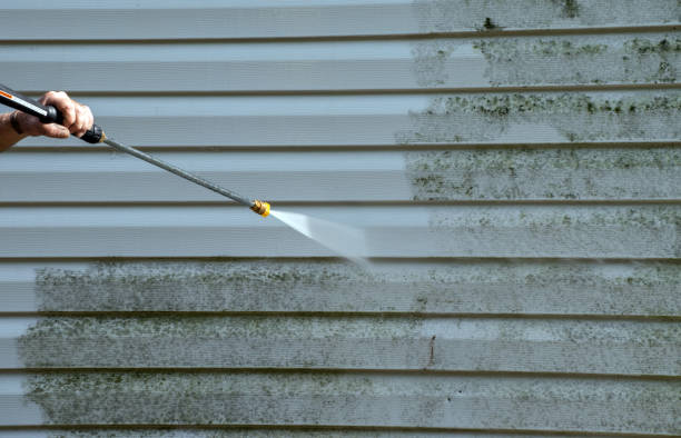 Best Roof Pressure Washing  in Frenchtown, NJ