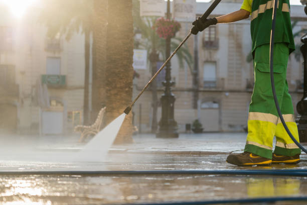Best Roof Pressure Washing  in Frenchtown, NJ